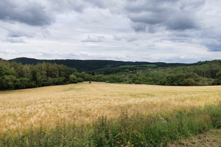  Point-de-vue sur la plaine du moulin entre Spontin et Yvoir.